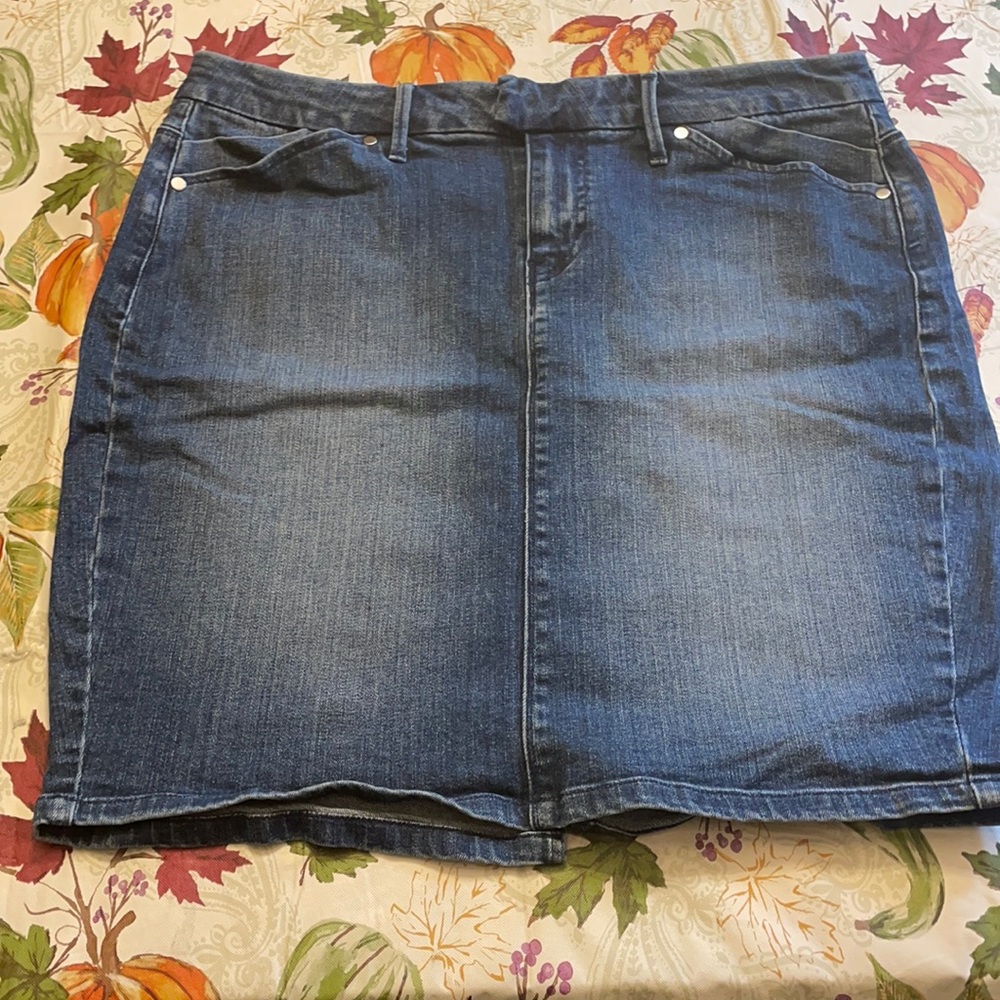 Levi’s Black Label Denim Skirt